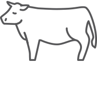 McDoanld's icona fornitore carne bovina