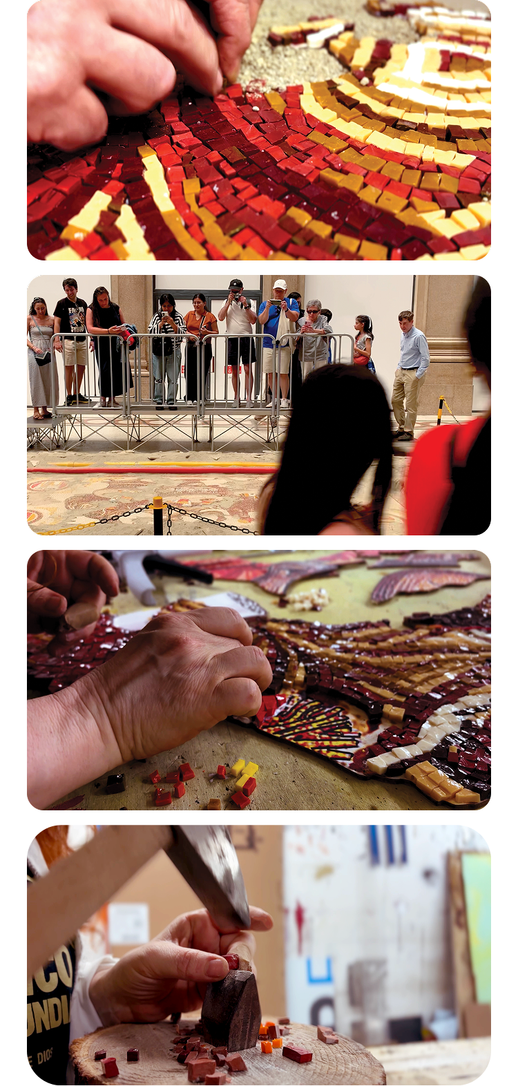 Mosaico social 2