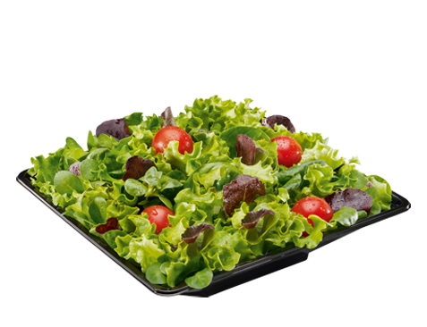 INSALATA VERDE CON POMODORI INSALATA VERDE CON POMODORI
