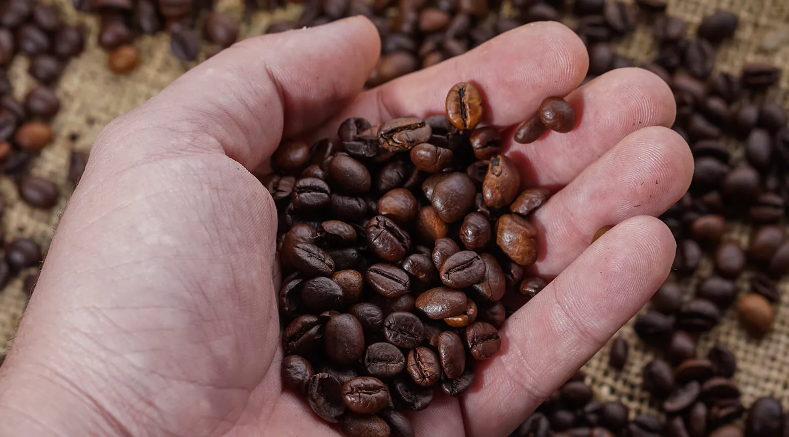 Il nostro caffè