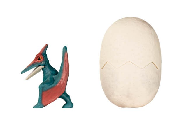 Ptenarodonte