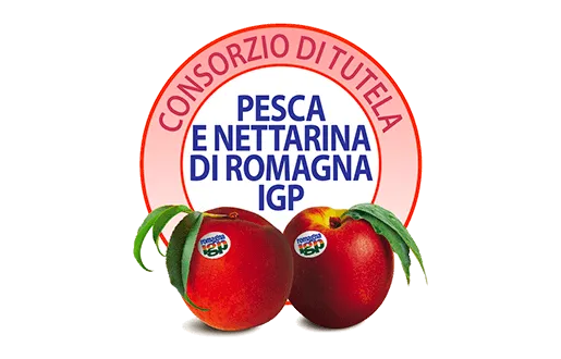 Pesca Romagna IGP