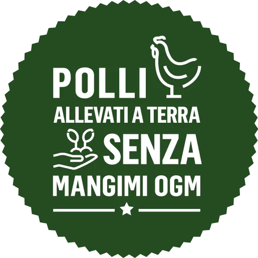 Polli allevati a terra senza mangimi OGM