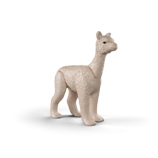 Alpaca