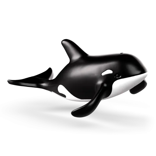 Orca