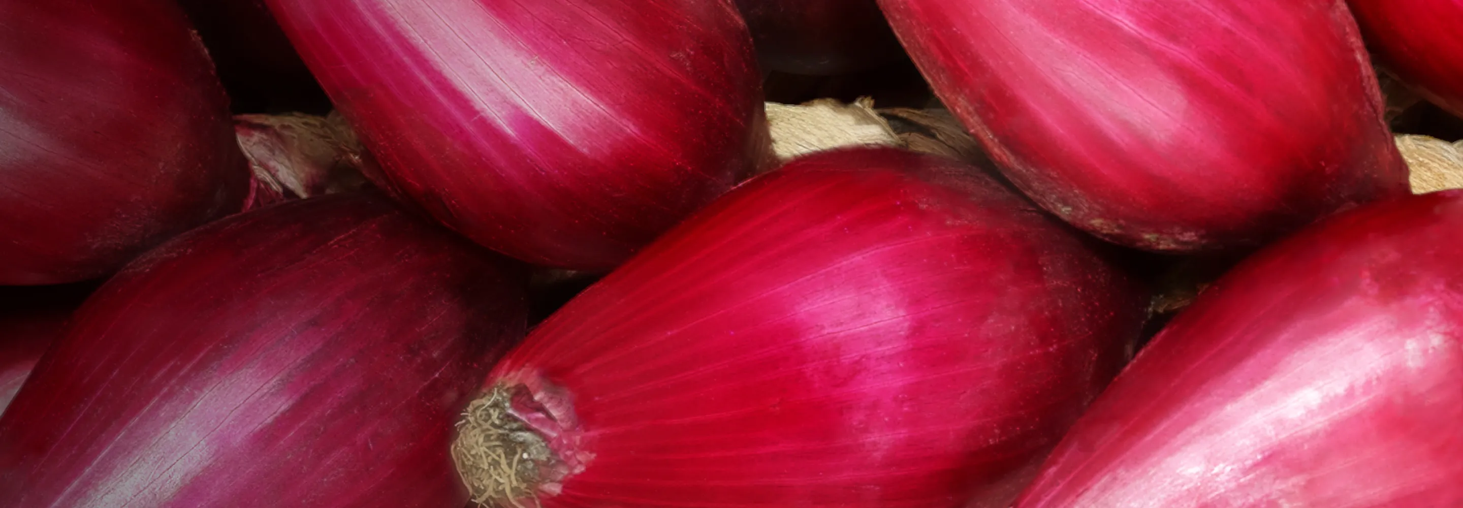 Cipolla Rossa di Tropea IGP