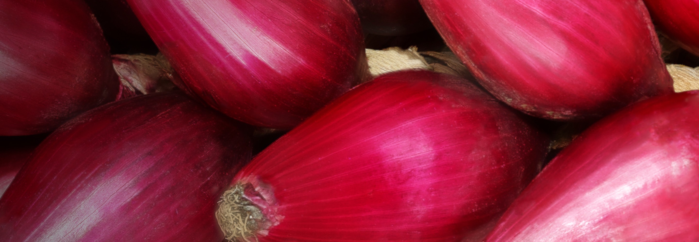 Cipolla Rossa di Tropea IGP