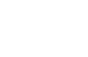 My Selection