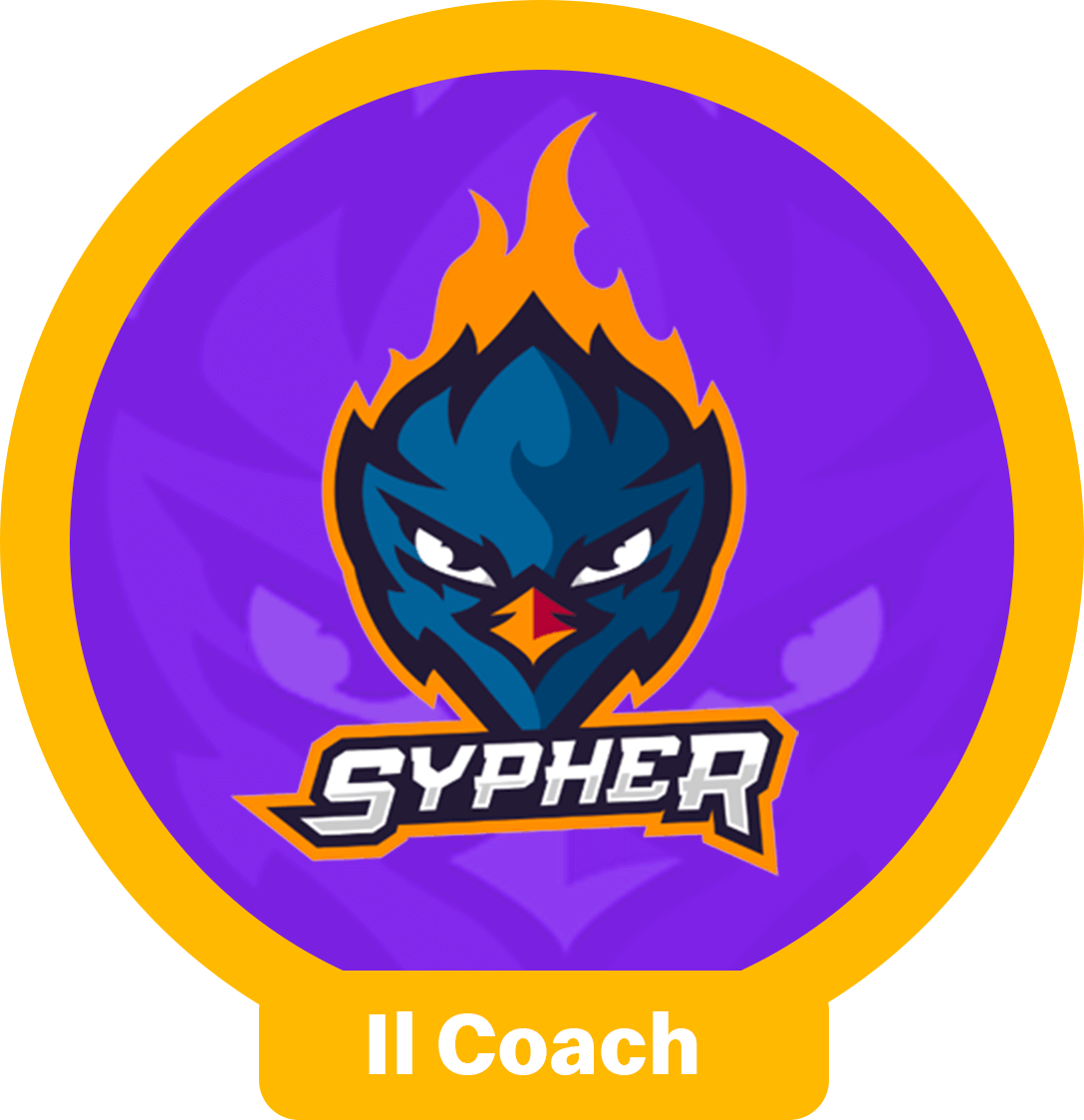 Il Coach
