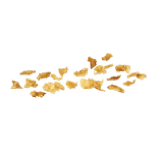 Cipolla croccante