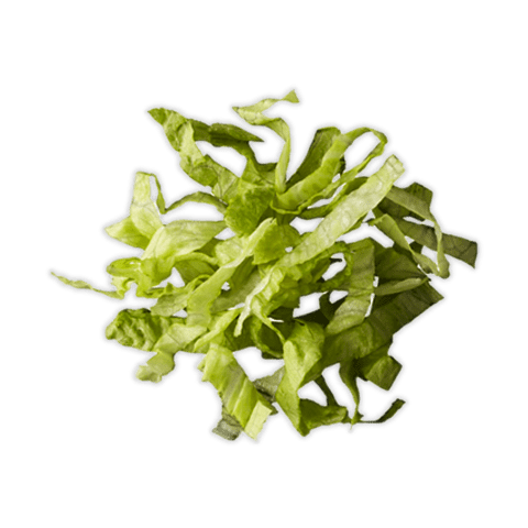 Insalata Iceberg