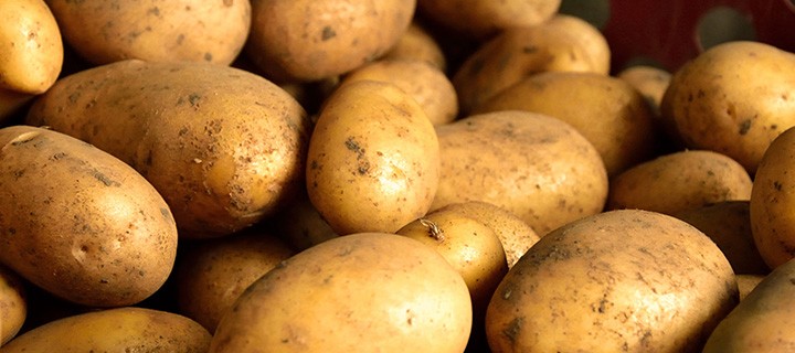 Le patate