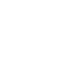 Little McDonald's