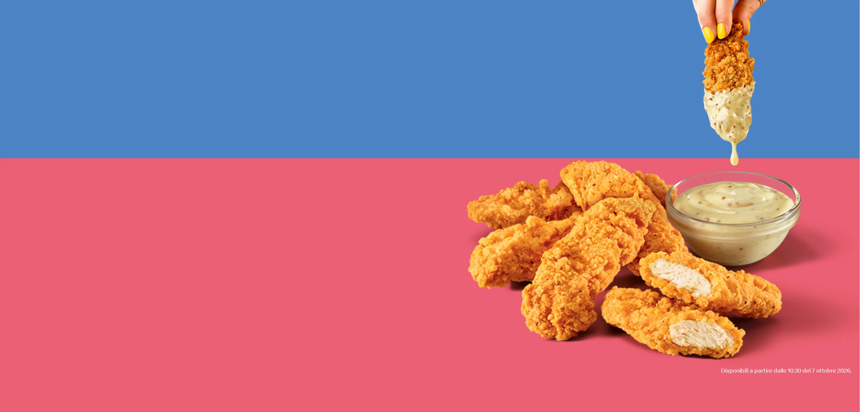 McCrunchy Chicken Strips