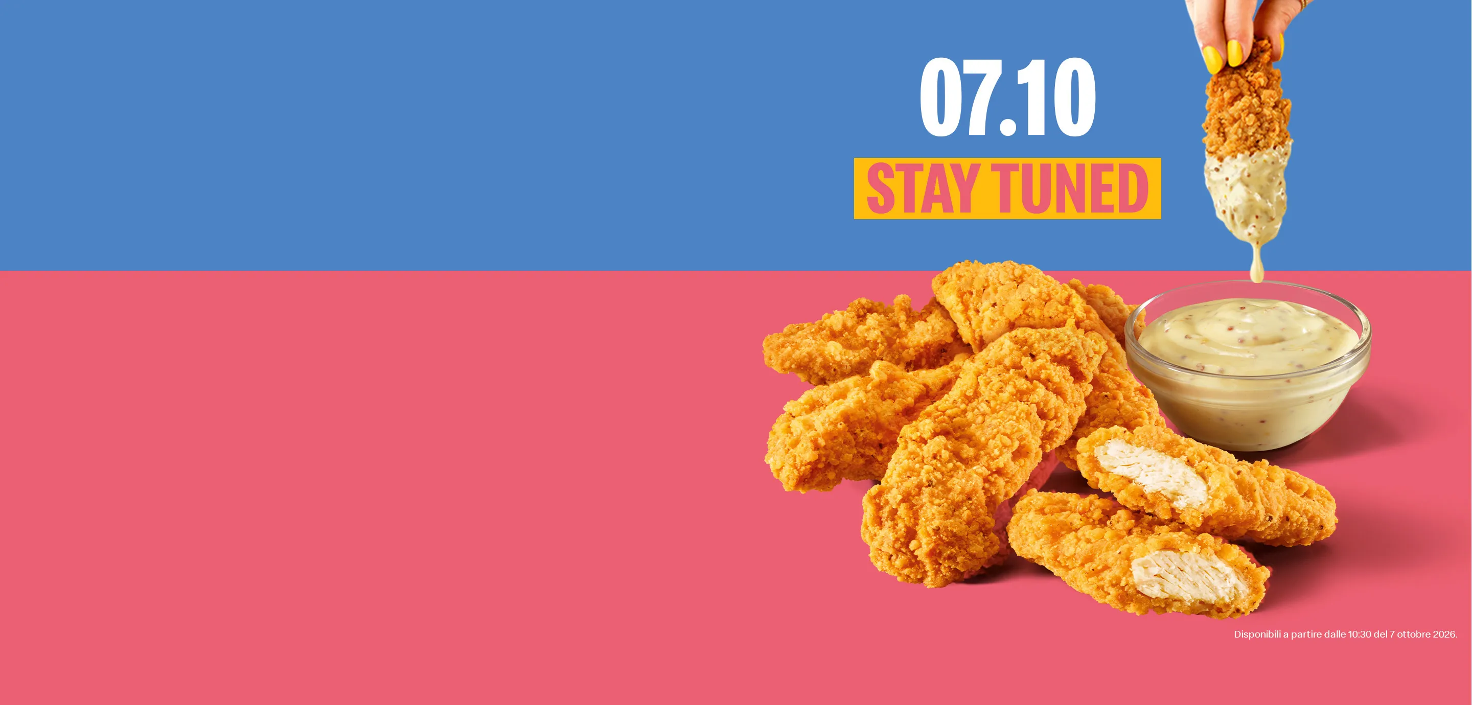 McCrunchy Chicken Strips