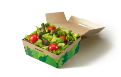 Insalata verde con pomodori