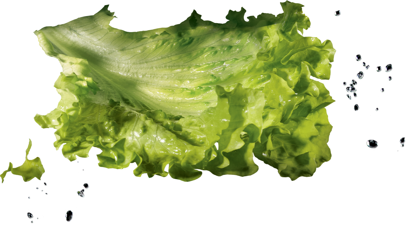 Insalata
