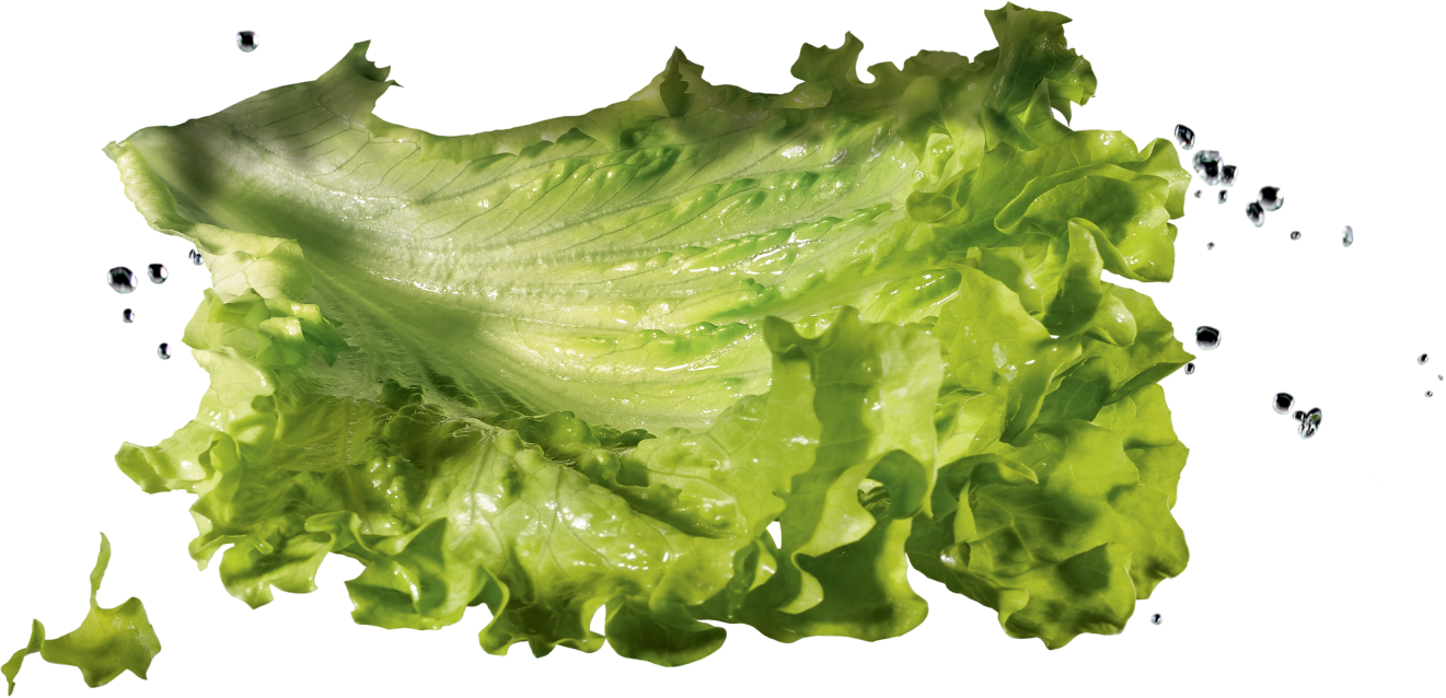 Insalata