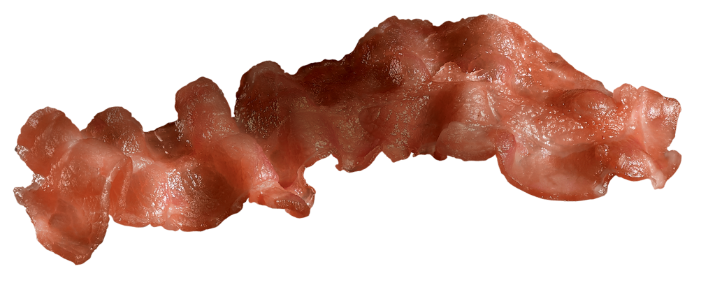 Bacon