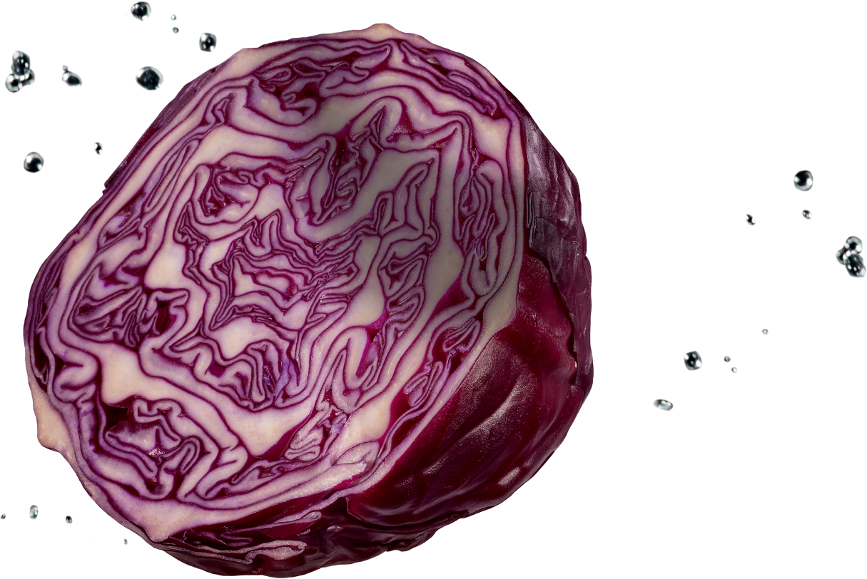 Cavolo