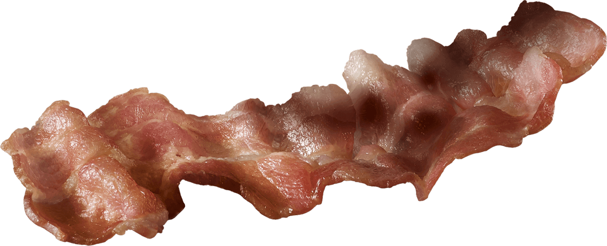 Bacon
