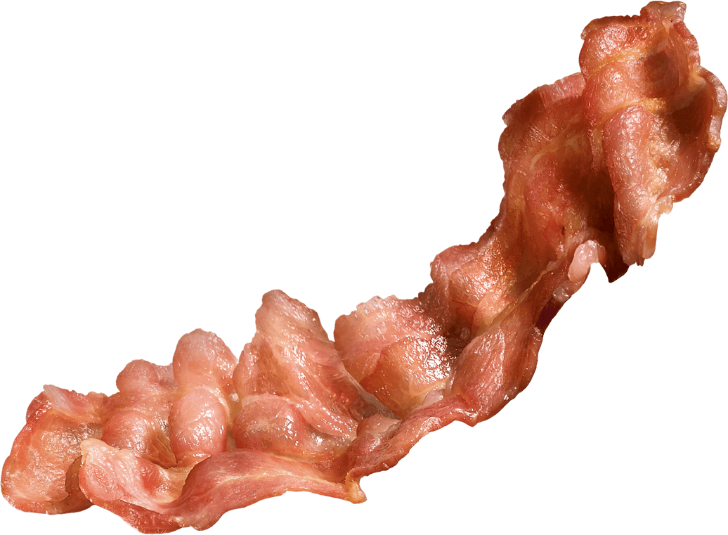 Bacon