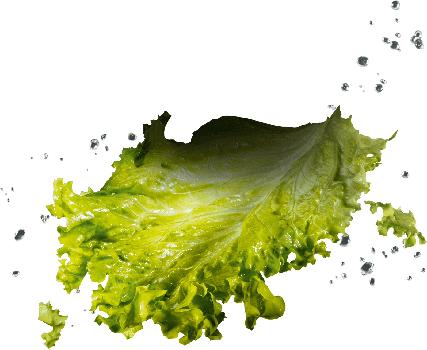 Insalata