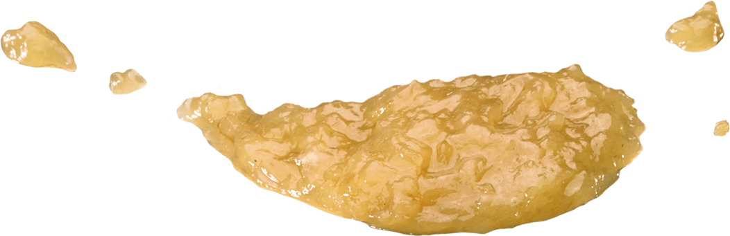Salsa